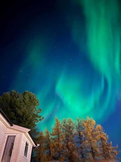 My Sweet Home Fauske Esterno foto